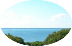 havet