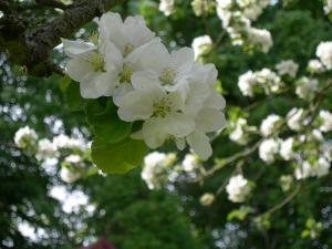 dscn0356
